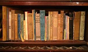 Любитель книг