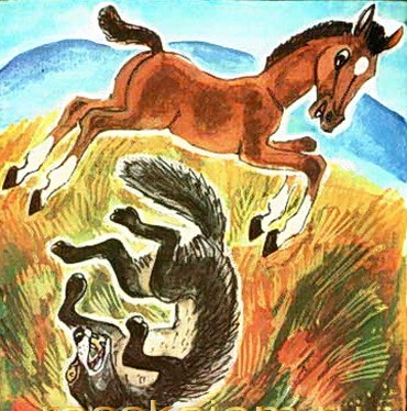 Волк, собака и кот